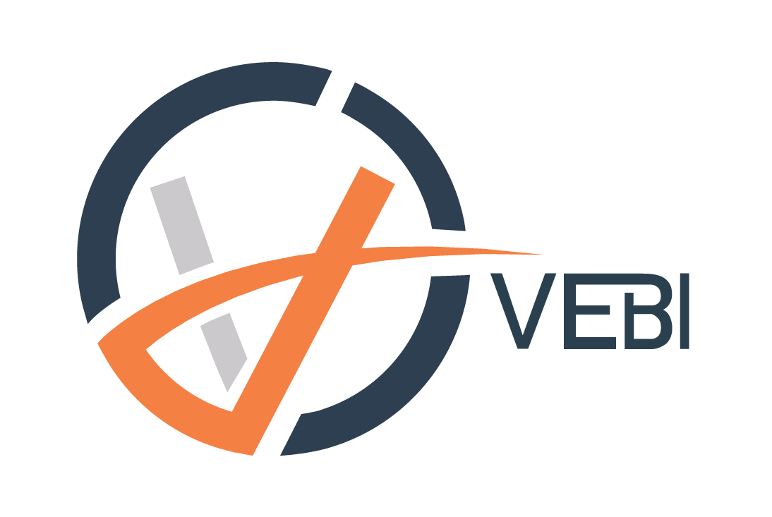 VEBI-01 (002)